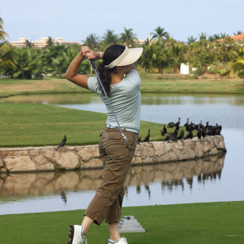 Golfer Golfer